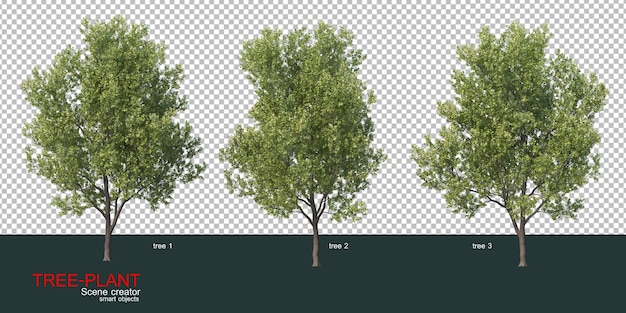 PSD various types of trees