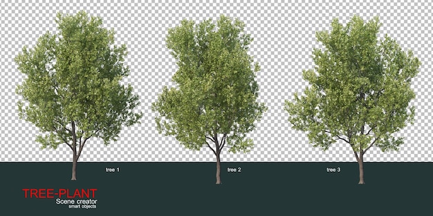 Various types of trees