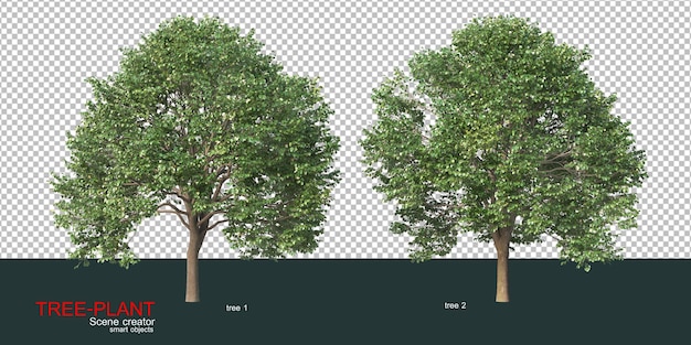 Various types of trees