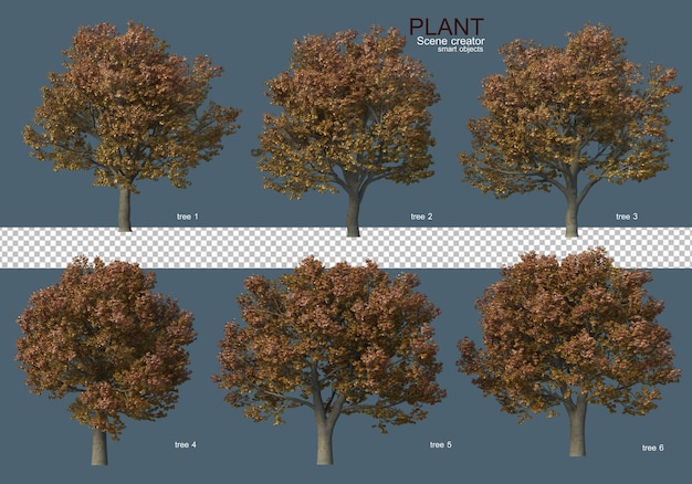 PSD vari tipi di alberi