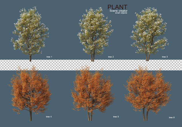 PSD vari tipi di alberi
