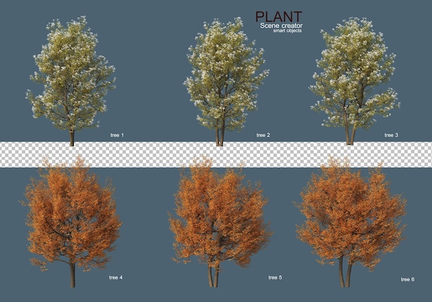 PSD various types of trees