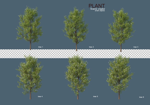 PSD various types of trees