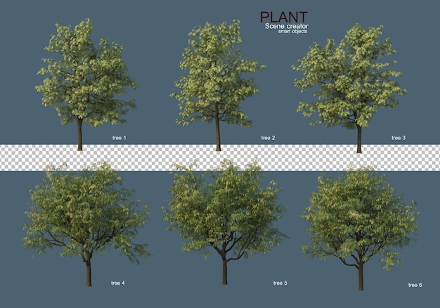 Various types of trees