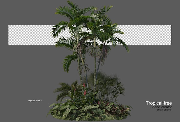 PSD various types of tropical trees