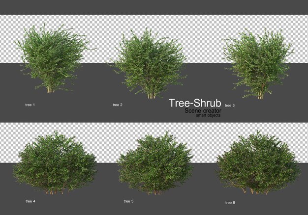 Various wide variety of trees and shrubs