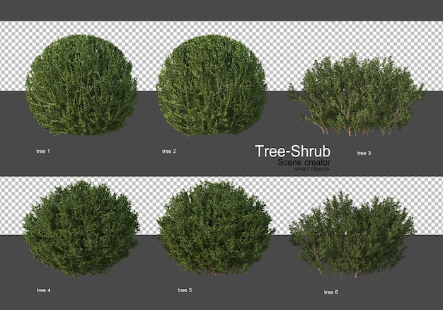 Various wide variety of trees and shrubs