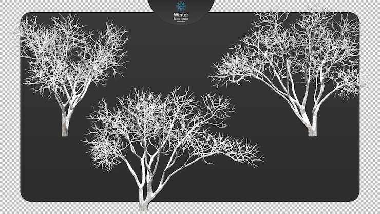 PSD various winter trees clipping path various winter trees isolated
