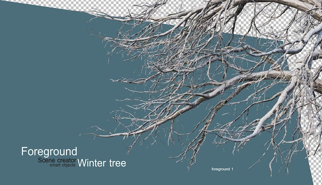 PSD various winter trees design isolated