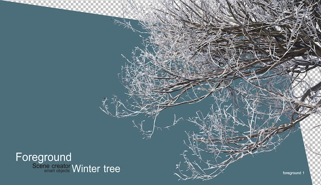 PSD various winter trees design isolated