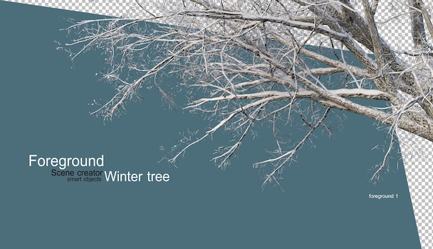 PSD various winter trees design isolated