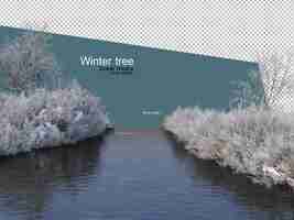 PSD various winter trees design isolated