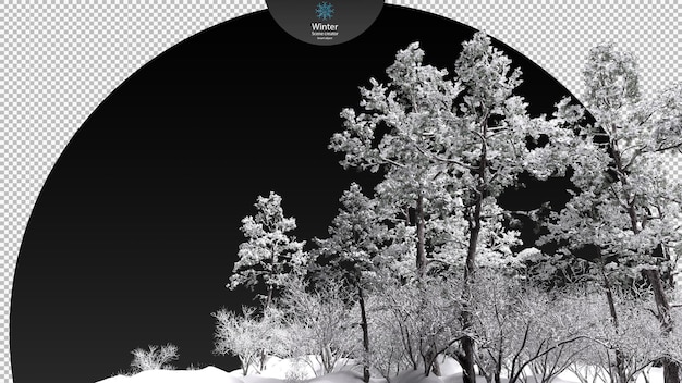 Various winter trees surrounded frozen stream clipping path