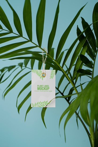 vaso de planta com etiqueta