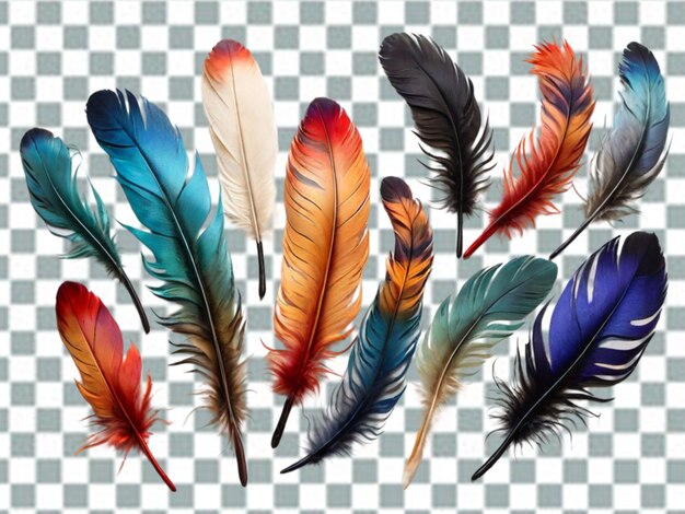 Vector realistic feathers color set with isolated images of bird feather of different color png