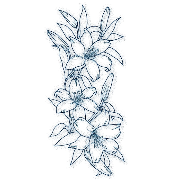 PSD vector of tiger lily flower flat design simple flower outline