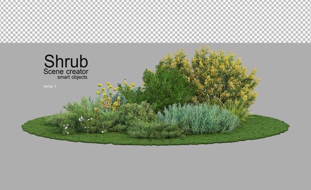 Veel struiken en bloeiende planten in een kleine tuin