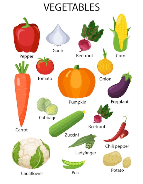 Vegetable chart