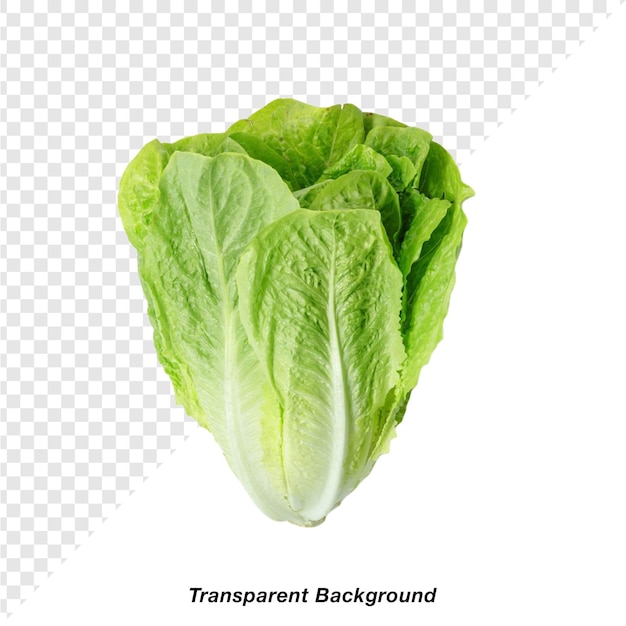 透明背景的蔬菜