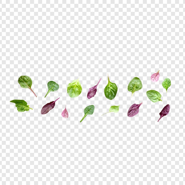 PSD vegetables isolated on transparent