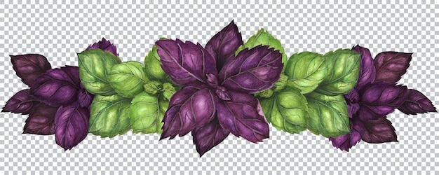 新鮮な緑と紫のバジルの葉を持つベジタリアンの花輪。植物の水彩イラスト。