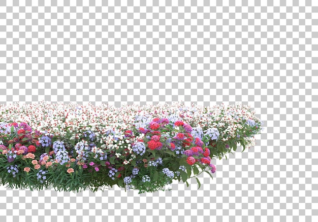 Veld met bloemen op transparante achtergrond 3d-rendering illustratie