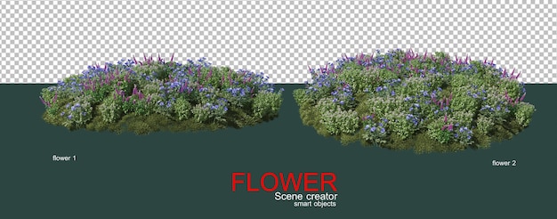 vele soorten kleurrijke bloemen