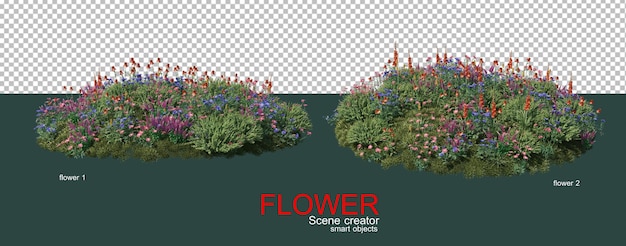 vele soorten kleurrijke bloemen