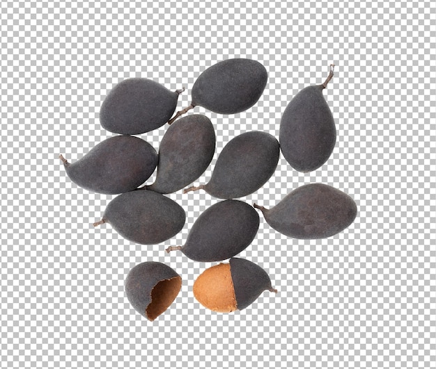 Velvet tamarind fruit isolated on alpha layer