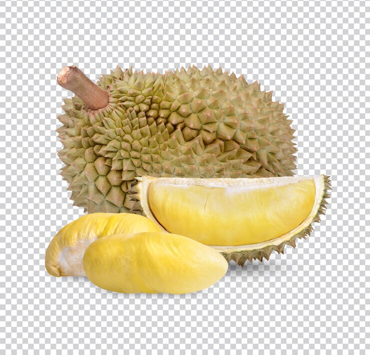 Vers Durian Fruit geïsoleerd Premium PSD