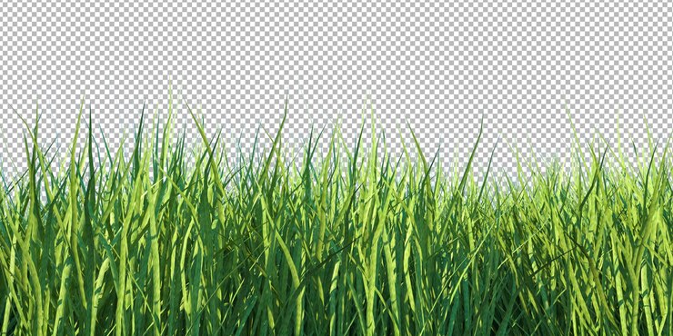 PSD vers groen gras