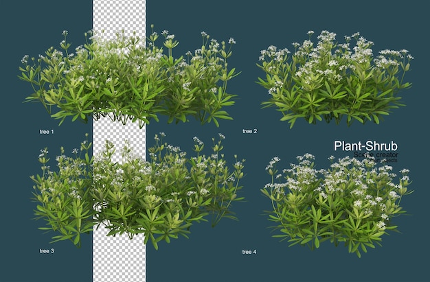 Verscheidenheid aan bloemen en struiken