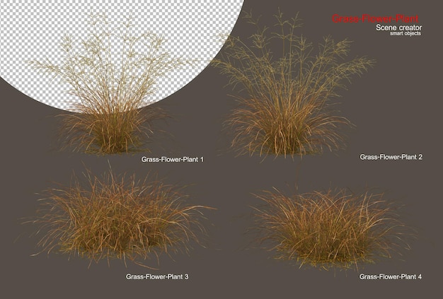 Verscheidenheid aan bomen en grassen