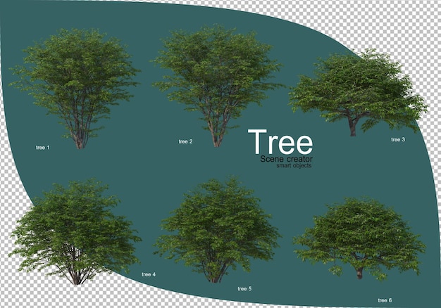 Verscheidenheid aan bomen in 3d-rendering