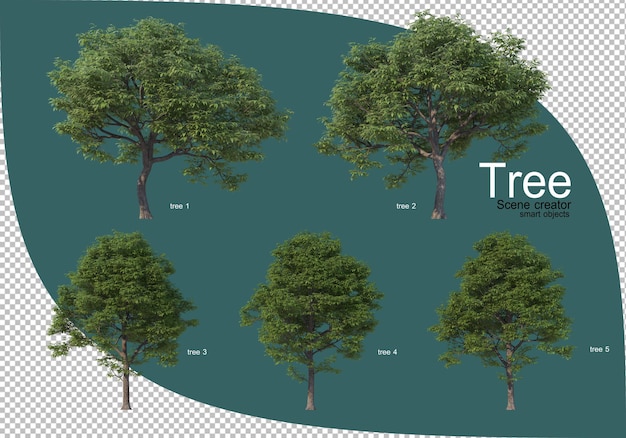 Verscheidenheid aan bomen in 3d-rendering