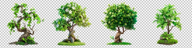 PSD verscheidenheid aan bonsai-bomen geïsoleerd op een doorzichtige achtergrond