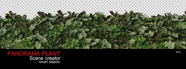 Verschillende maten planten