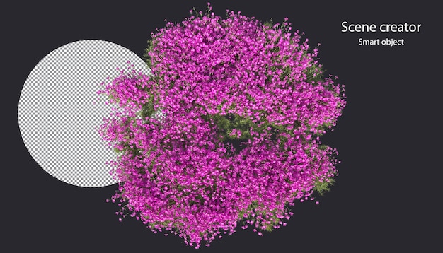 PSD verschillende soorten bloem kleine planten struiken struiken en bomen geïsoleerde weergave
