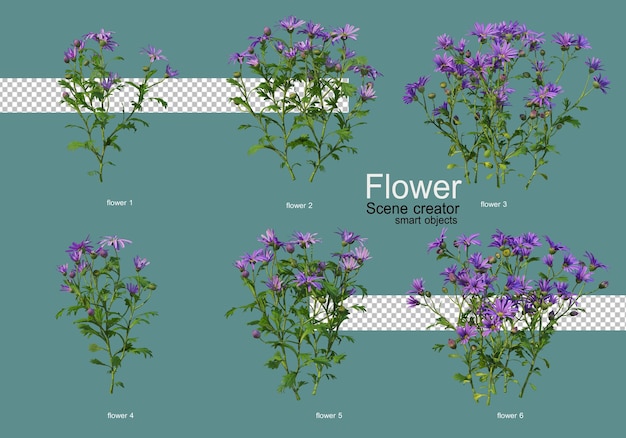 verschillende soorten bloemen verschillende vormen