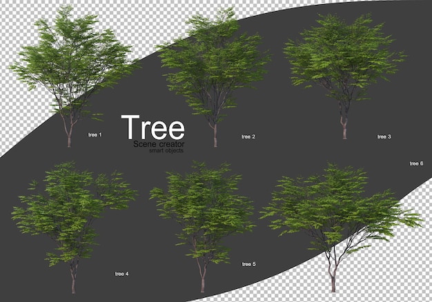 Verschillende soorten bomen geïsoleerd weergeven