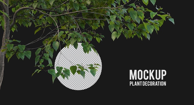 Verschillende soorten boomtak planten struiken struiken en kleine planten geïsoleerd