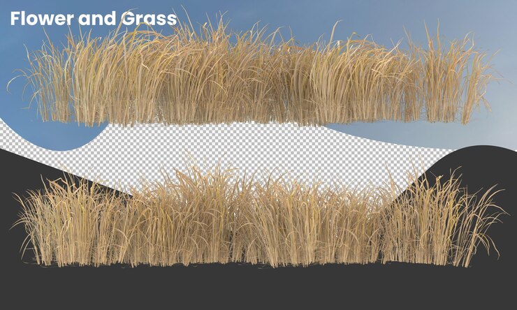 Verschillende soorten gedroogde planten grasstruiken struiken en kleine planten geïsoleerd