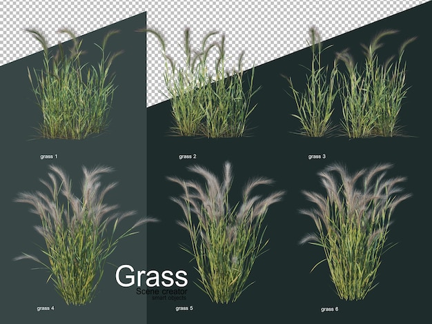 PSD verschillende soorten gras 3d-rendering