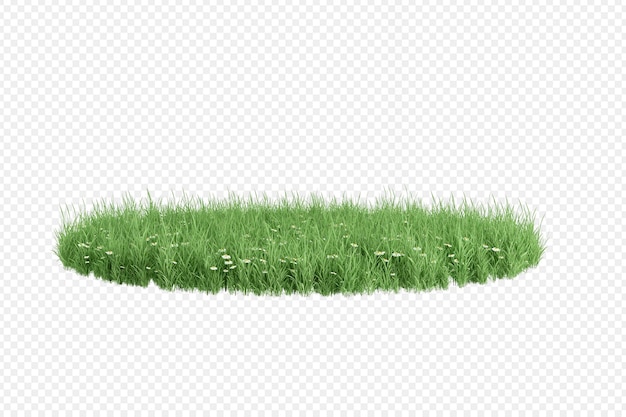 PSD verschillende soorten gras geïsoleerd renderen