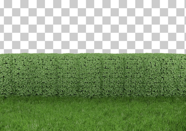 Verschillende soorten grasstruiken