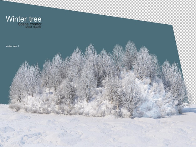 PSD verschillende winter bomen ontwerp geïsoleerd