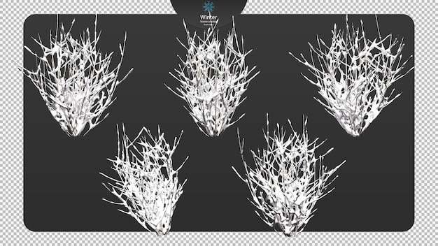 verschillende winterbomen uitknippad verschillende winterbomen geïsoleerd