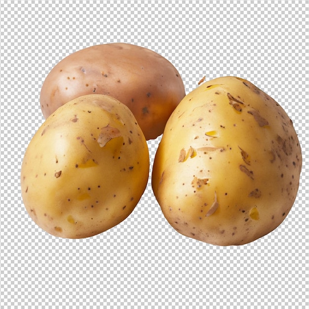 Verse aardappelen op Alpha Layer