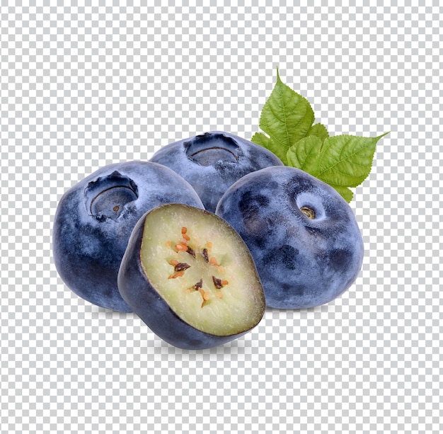Verse bosbes met geïsoleerde bladeren Premium PSD