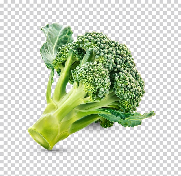 Verse broccoli isoleren